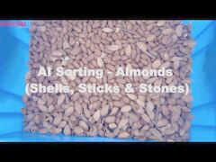 AI Sorting - Almonds
(Shells, Sticks & Stones)