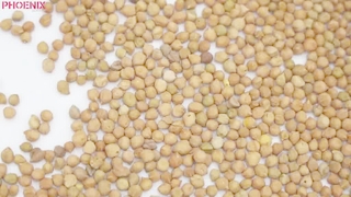 AI vertical intelligent sorting
—Chickpeas (wormholes, white spots)
