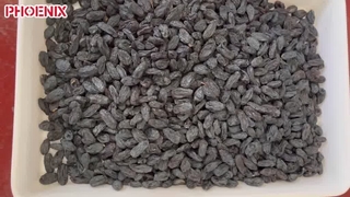 blackcurrant