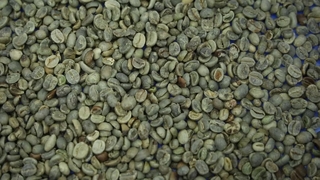 AI Color Sorter for Coffee Beans (Discolored, Insect-Damaged & White Beans)