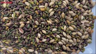 AI Sorting‑Pistachio (Impurity Removal: Shells, Whole Nuts, Clods, Stones)
