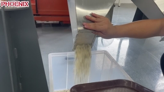 AI Rice Sorting Machine
