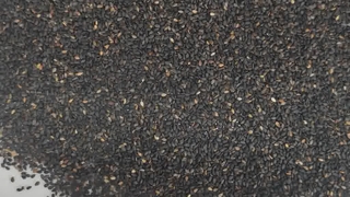 sesame 